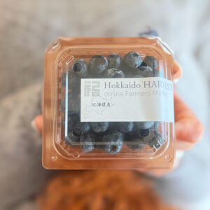 生のブルーベリー01